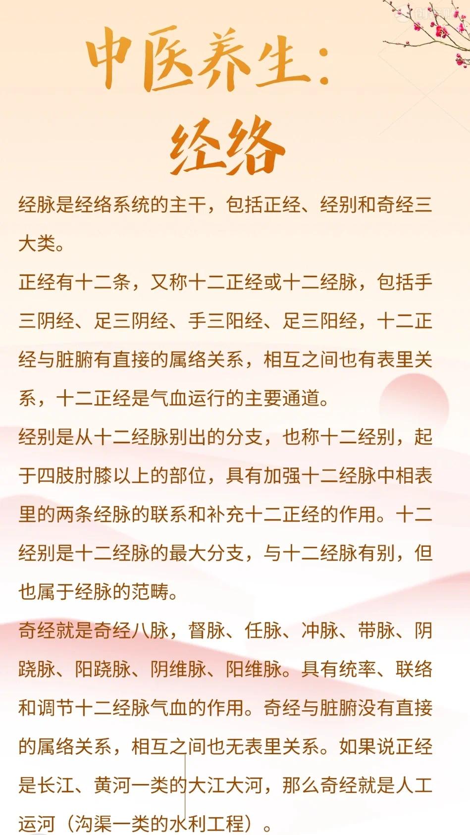 养生经络进阶技巧大汇总，助你解锁健康养生新境界
