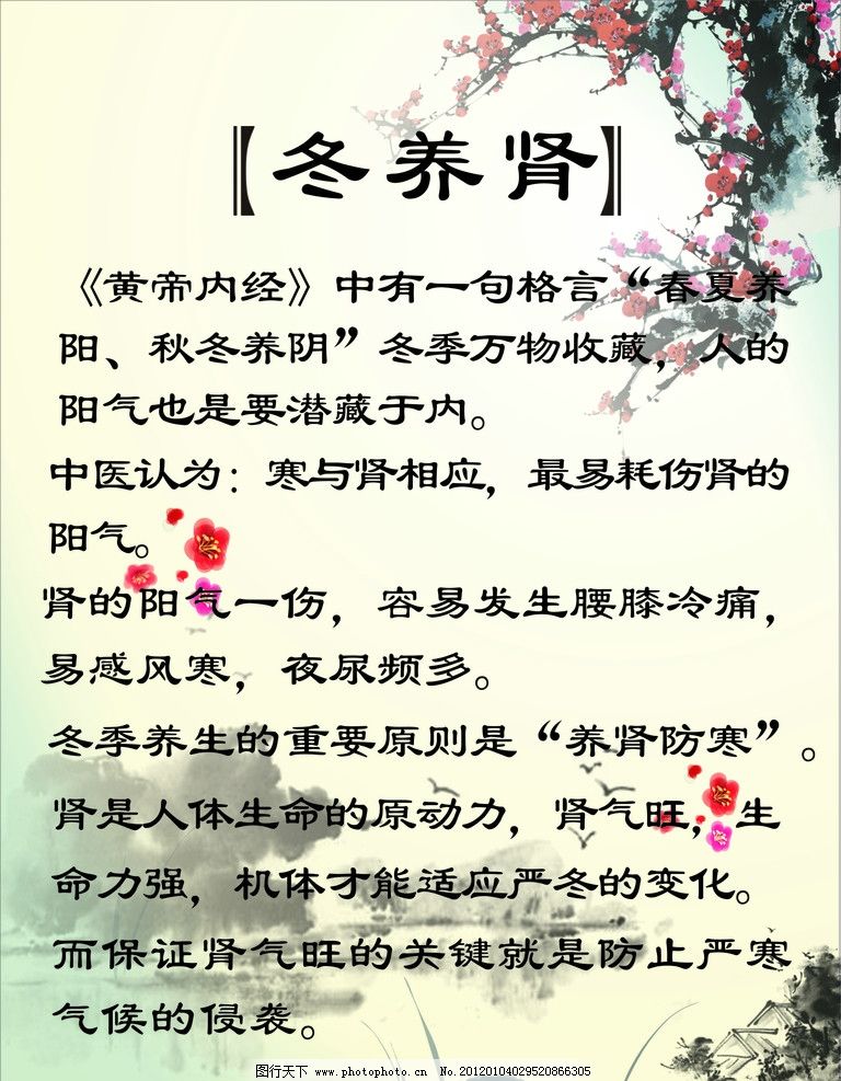 中医养肾之道：解锁养生密码，呵护肾脏健康