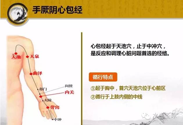 探寻养生经络核心奥秘，解锁健康活力新密码