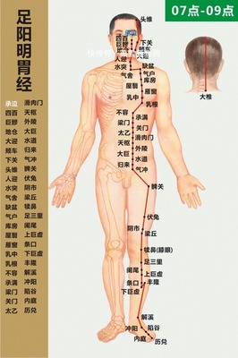 养生经络妙招大公开，轻松解锁健康生活新方式