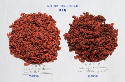 枸杞防虫妙招大揭秘，守护枸杞生长，保障品质与产量