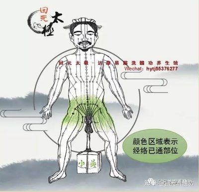 养生经络进阶秘籍：解锁深层奥秘，开启健康进阶之旅