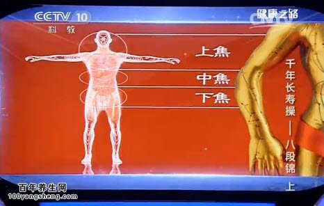 养生经络要点全知道，掌握这些轻松开启健康生活新方式