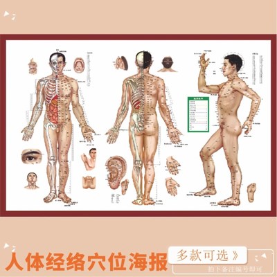中医养生经络针灸:开启身体康健之门的神奇疗法