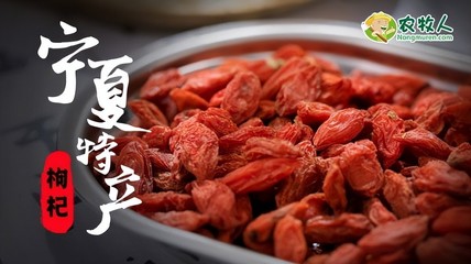 枸杞品牌管理：品质塑造、市场推广与可持续发展之道