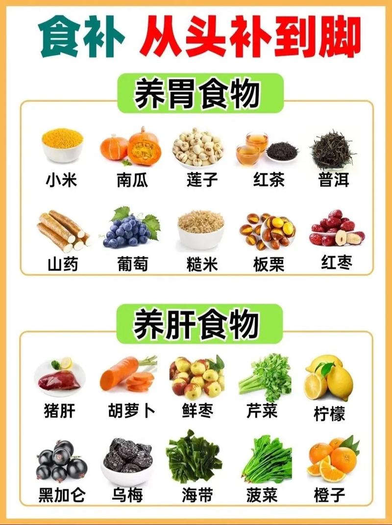 养生饮食进阶方法大全 从入门到精通的膳食调养技巧