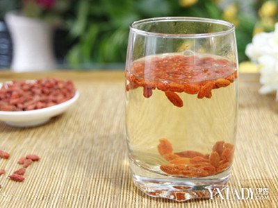 枸杞搭配什么能发挥最佳功效，这些组合你不能错过