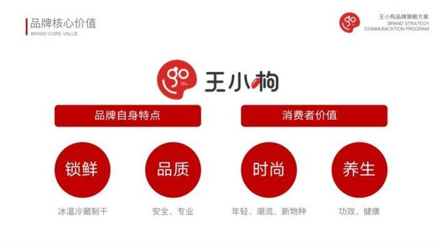 枸杞品牌CEO：引领行业发展，铸就枸杞品牌辉煌之路