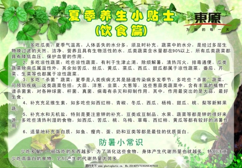 夏季饮食养生指南：选对食物，轻松应对炎炎夏日健康挑战