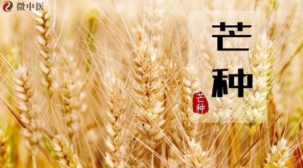 中医芒种养生 顺应时节护阳养脾