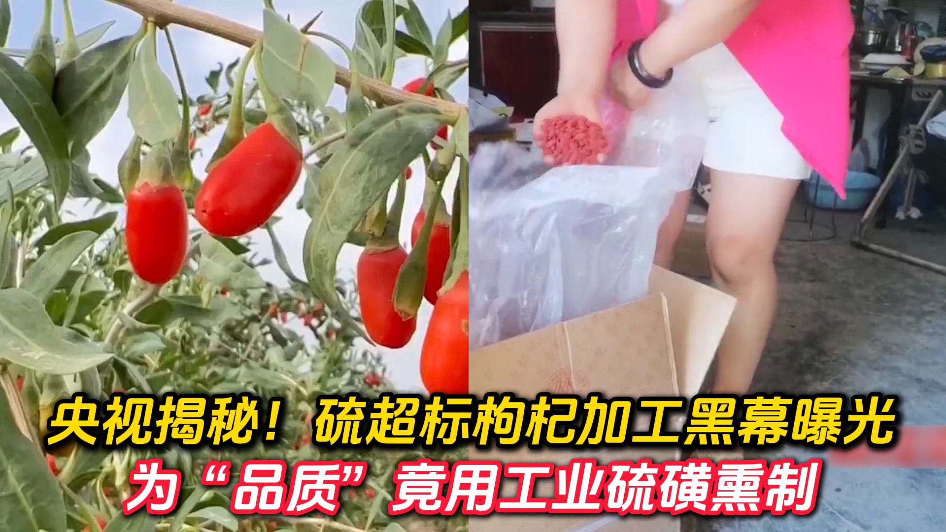顶级枸杞品牌，汇聚非凡品质，演绎养生滋补新传奇