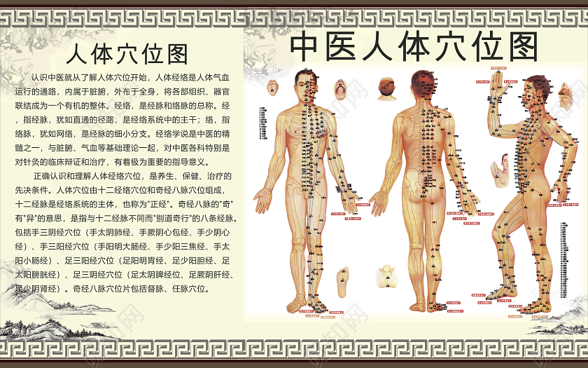 养生经络基础：探寻身体内在奥秘与健康养护之道