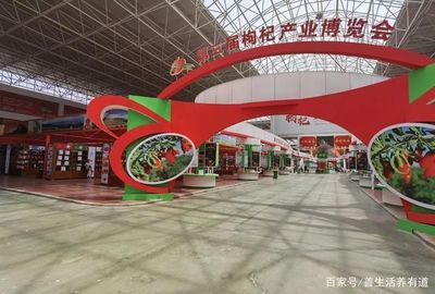 枸杞品牌规范：保障品质与形象，引领枸杞行业健康发展