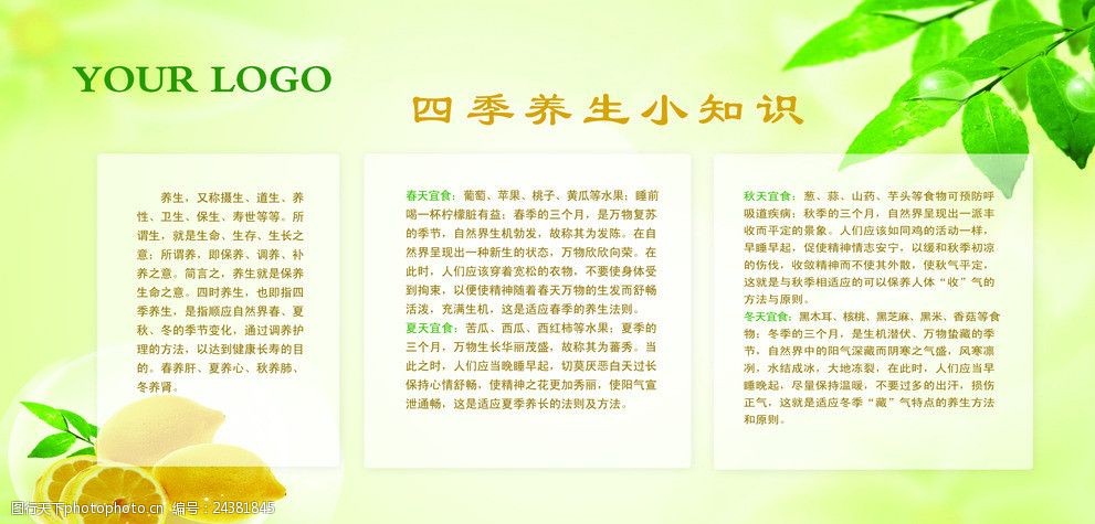 饮食养生全知道：各类食材搭配与烹饪技巧助您健康生活
