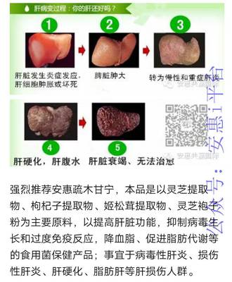 枸杞代谢特性及活性成分转化规律的相关研究