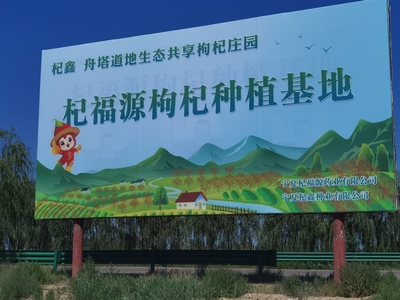 枸杞良种选育推广与产业高质量发展路径探析