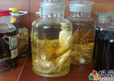 枸杞人参泡酒的功效作用及正确泡制方法详解