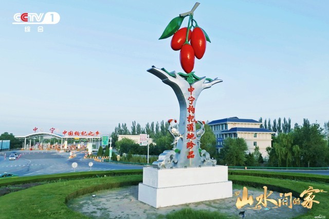 枸杞品牌大赛:汇聚精华,角逐枸杞领域闪耀品牌荣耀