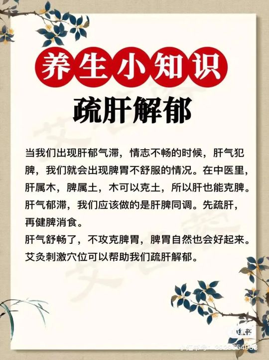 掌握养生情志知识，开启身心愉悦、健康长寿的美好生活密码